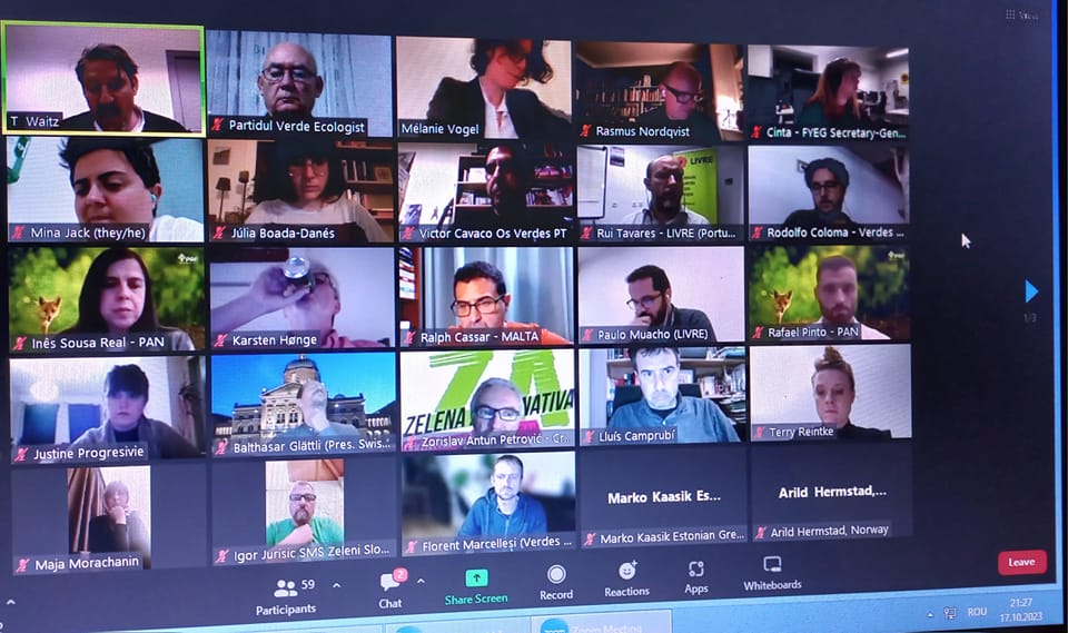 Discuție despre criza din Israel cu Verzii Europeni