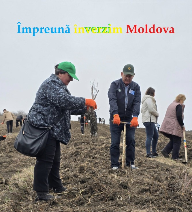 Împreună împădurim Moldova